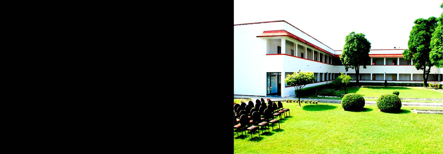 Lotus Nikko, Kushinagar